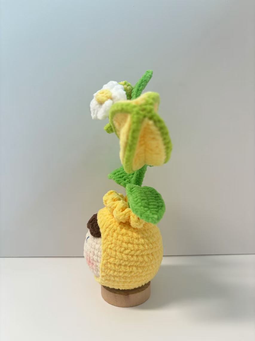 100% Hand-Crocheted Starfruit Planter - Adorable Home Deco