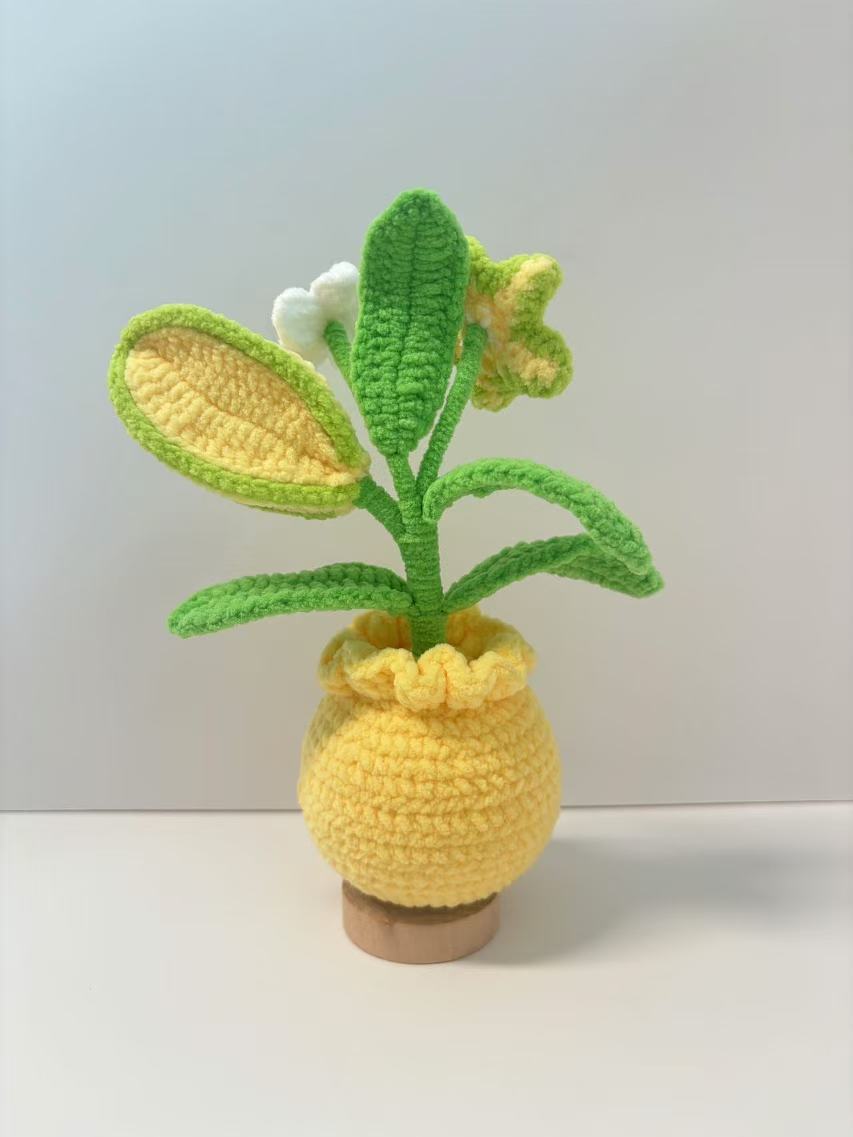 100% Hand-Crocheted Starfruit Planter - Adorable Home Deco