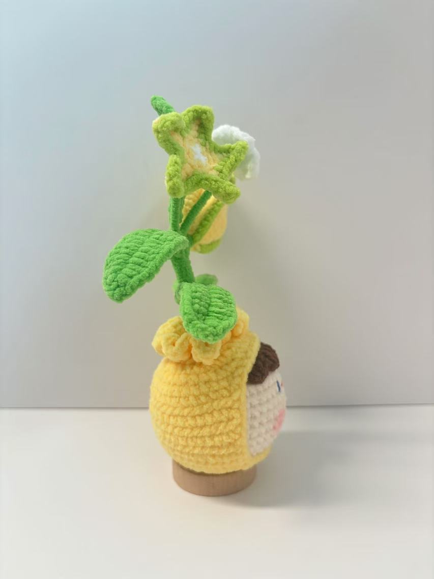 100% Hand-Crocheted Starfruit Planter - Adorable Home Deco