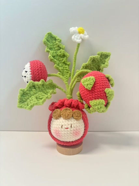 Hand-Woven crochet Cartoon-Face Dragon Fruit Planter